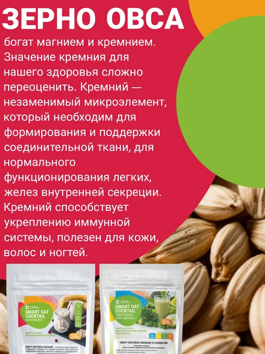 Родник Здоровья 2 шт Смарт-Коктейль Овсяный, для похудения, 2 шт, фото 2