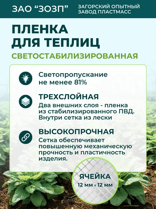 ЗОЗП пленка армированная леской Пленка армированная 6х9м светостабилизированная (Загорск), 6x9 м, фото 2