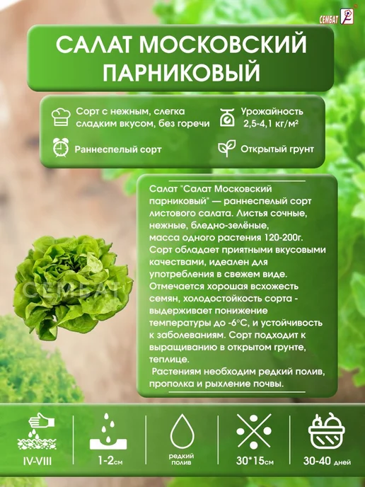 Сембат Салат Московский парниковый 0.5г Семена, 0,2 г