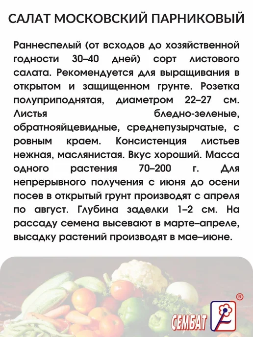 Сембат Салат Московский парниковый 0.5г Семена, 0,2 г, фото 2