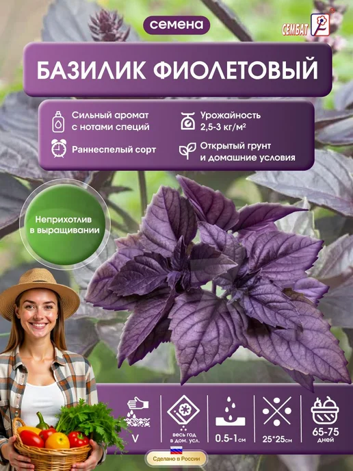 Сембат чб Базилик фиолетовый Арарат 0.2г Семена, 0,2 г