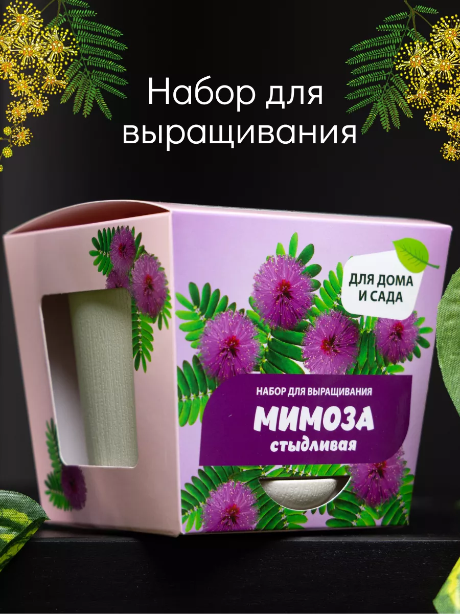 Набор для выращивания Мимоза стыдливая Колокольчик Shop 199754887 купить за  334 ₽ в интернет-магазине Wildberries