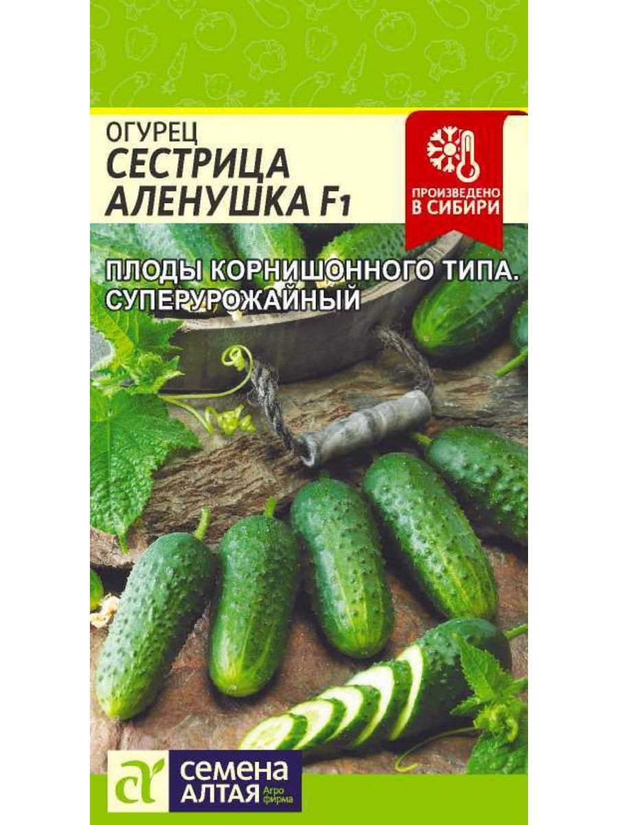 Семена алтая огурцы подкормка. Огурец Аленушка f1. Огурец сестрица алёнушка f1. Огурец сестрица Аленушка f1, 0,3 гр, (семена Алтая). Семена Алтая огурцы.