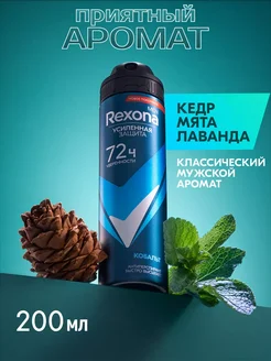 Дезодорант Антиперспирант мужской спрей Кобальт 200 мл REXONA 199869988 купить за 323 ₽ в интернет-магазине Wildberries