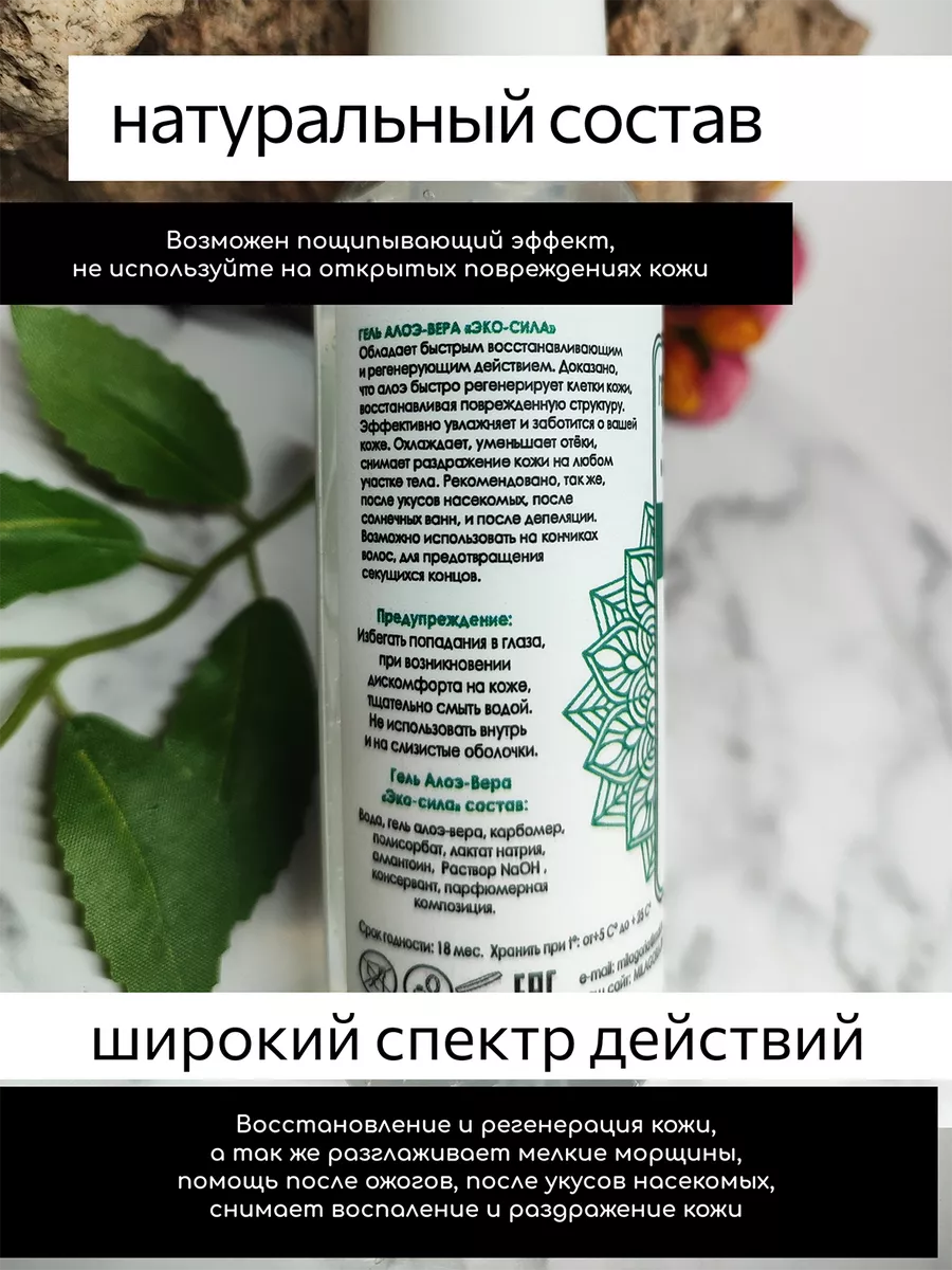 Гель Алоэ вера Милагория 200027267 купить за 323 ₽ в интернет-магазине  Wildberries