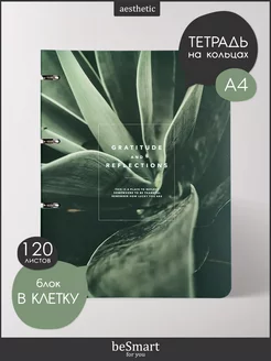 Блочная тетрадь на кольцах А4 120 листов BE SMART 200049645 купить за 534 ₽ в интернет-магазине Wildberries