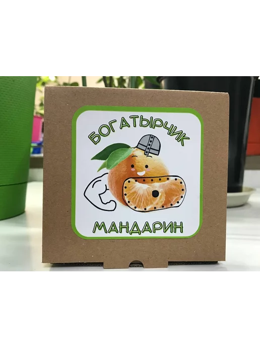 "Богатырчик Мандарин" Набор для выращивания растений, вариант