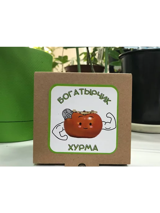 "Богатырчик Хурма" Набор для выращивания растений, вариант