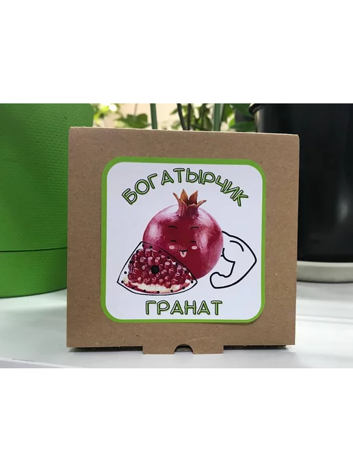 "Богатырчик Гранат" Набор для выращивания растений, вариант