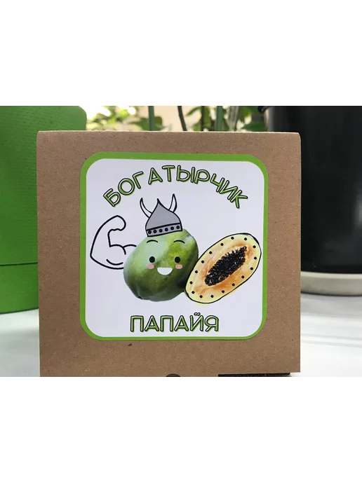 "Богатырчик Папайя" Набор для выращивания растений, вариант