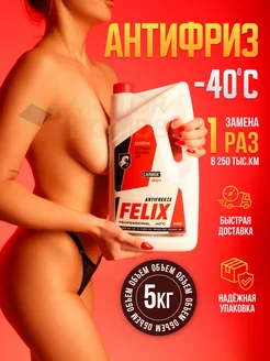 Антифриз красный FELIX Carbox G12+ 5 литров FELIX (авто) 200073148 купить за 1 013 ₽ в интернет-магазине Wildberries