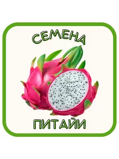 Питайя (драконий фрукт). Семена питахайи 200081891 купить за 170 ₽ в интернет-магазине Wildberries