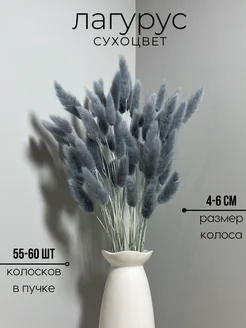 Сухоцветы лагурус зайцехвост EVA florist 200186159 купить за 468 ₽ в интернет-магазине Wildberries