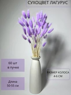 Сухоцветы лагурус зайцехвост EVA florist 200186161 купить за 522 ₽ в интернет-магазине Wildberries