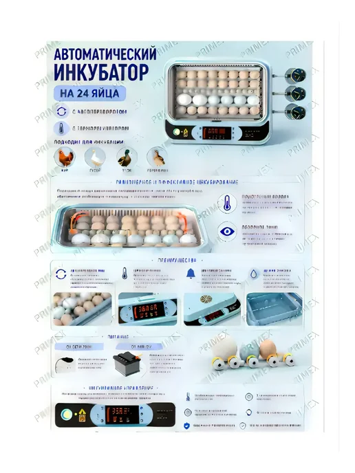 Умница Автоматический инкубатор для яйц с автопереворотом, голубой