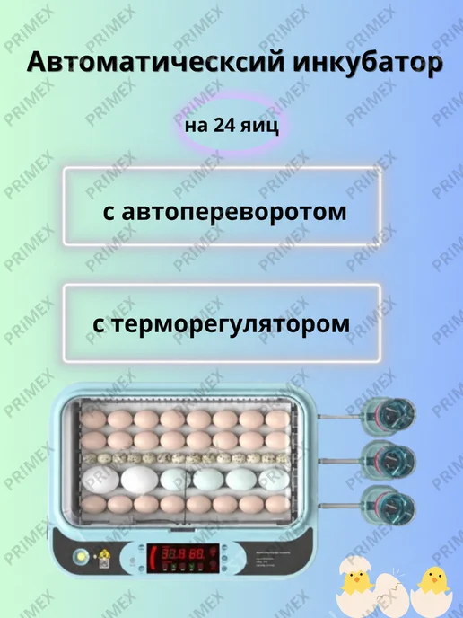 Умница Автоматический инкубатор для яйц с автопереворотом, голубой, фото 4