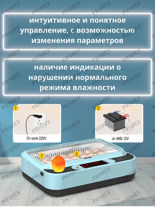 Умница Автоматический инкубатор для яйц с автопереворотом, голубой, фото 6