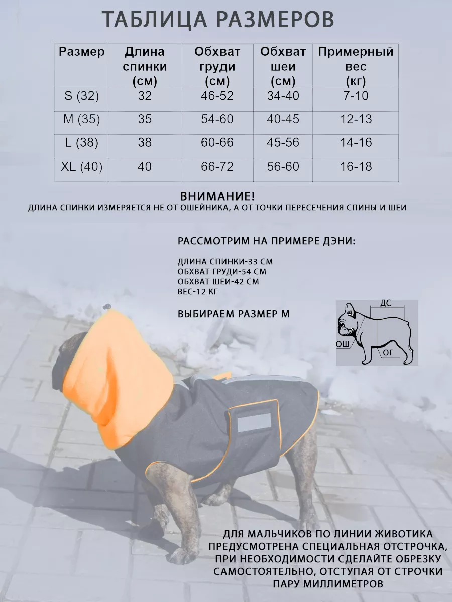 Попона - Жилет для собак Французский бульдог 200190559 купить за 1 546 ₽ в  интернет-магазине Wildberries