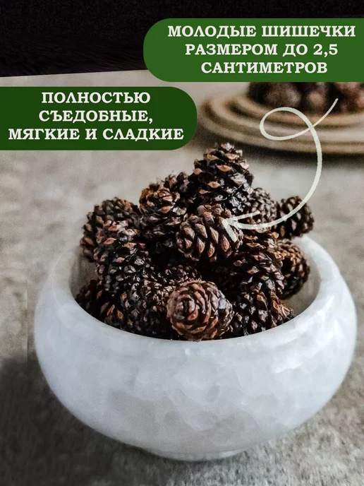 Богатства Саян Цукаты сосновой шишки 100 г, 100 г, фото 3