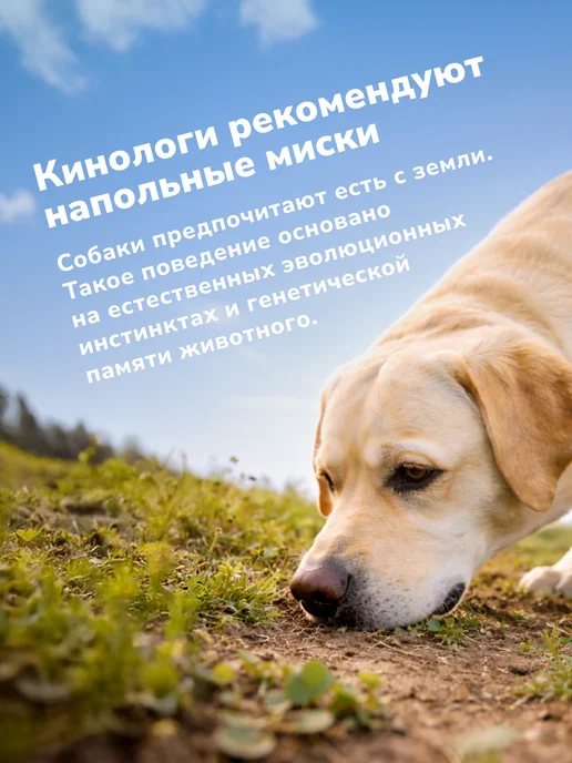 MisterBully Миски для собак средних пород металлические широкие, 2х900мл, 900 мл, фото 8