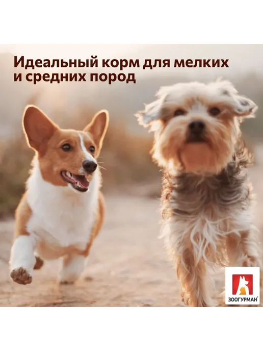 Сухой корм ЗООГУРМАН Urban Life для собак, мелкие, индейка, 1,2 кг, фото 8