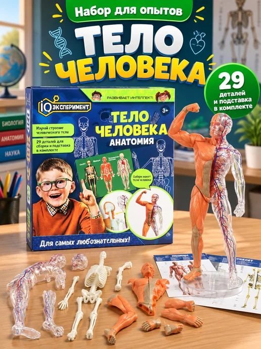 IQ Эксперимент Игрушка для опытов тело человека, черный