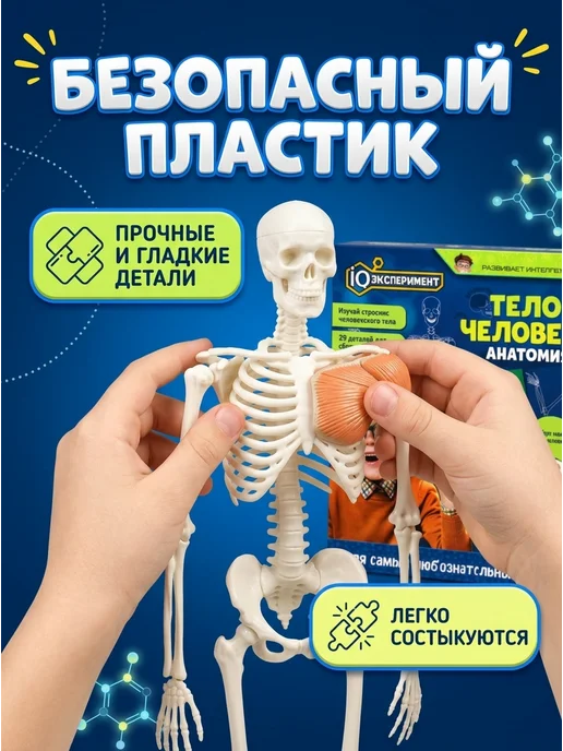 IQ Эксперимент Игрушка для опытов тело человека, черный, фото 4