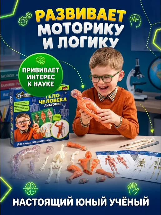IQ Эксперимент Игрушка для опытов тело человека, черный, фото 5