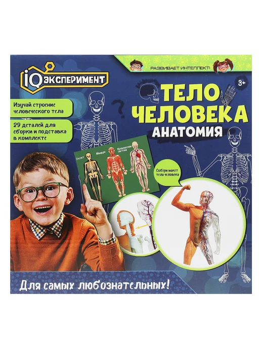 IQ Эксперимент Игрушка для опытов тело человека, черный, фото 7