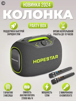 Колонка портативная музыкальная Party Box 120 Вт Hopestar 200371083 купить за 10 031 ₽ в интернет-магазине Wildberries