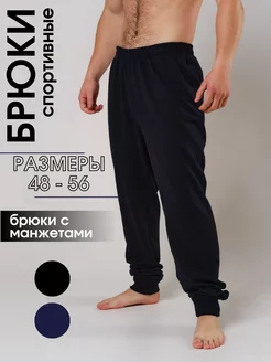 Штаны спортивные повседневные Добрыня textil 200404957 купить за 390 ₽ в интернет-магазине Wildberries