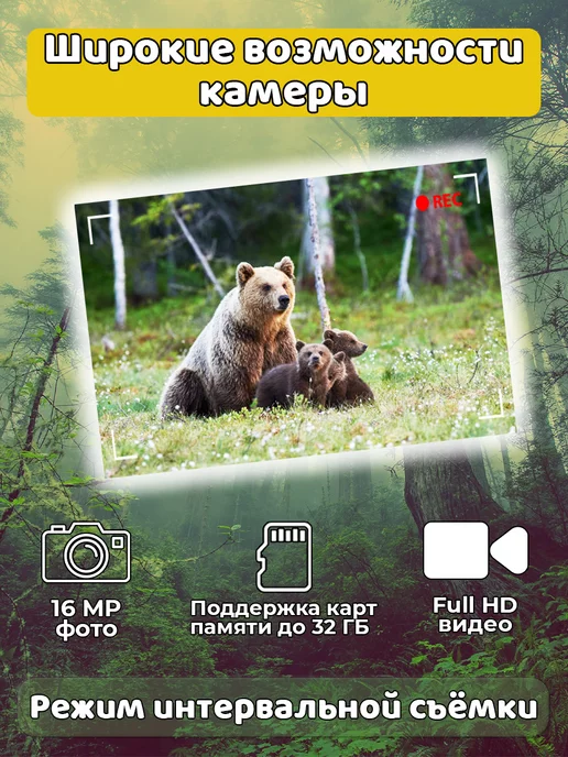 Lequido Фотоловушка для охоты и дачи с дисплеем и флешкой на 32ГБ, 32 ГБ, фото 4