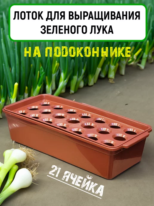 Лоток для выращивания зелёного лука