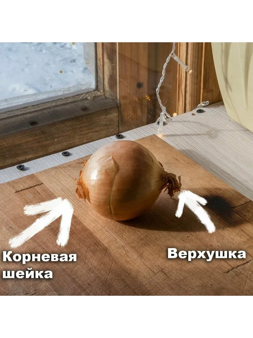 Урожай Набор для выгонки зеленого лука на подоконнике 21 ячейка, зеленый, фото 4