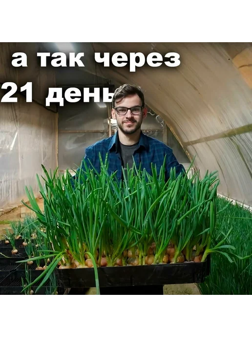 Урожай Набор для выгонки зеленого лука на подоконнике 21 ячейка, зеленый, фото 8