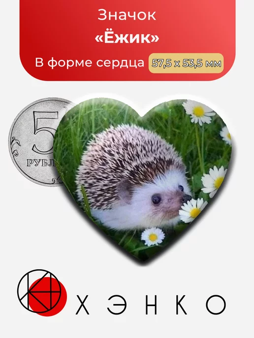 Ёжик и ромашки