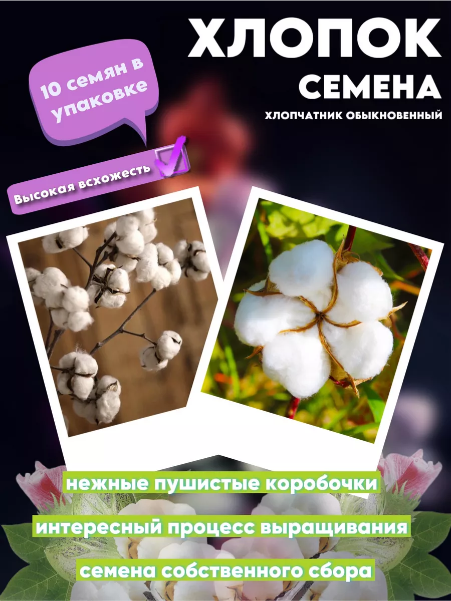 Семена хлопка хлопчатник обыкновенный 200418175 купить в интернет-магазине  Wildberries