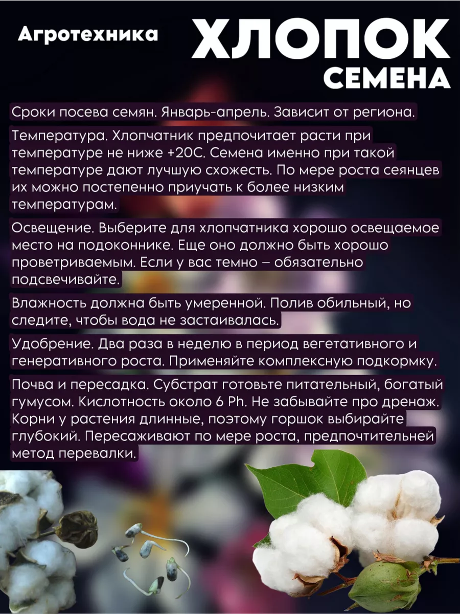 Семена хлопка хлопчатник обыкновенный 200418175 купить в интернет-магазине  Wildberries