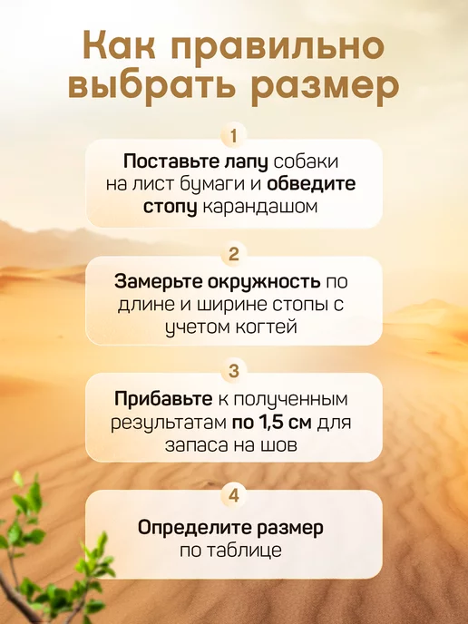 KADMI Обувь для собак мелких и средних пород, черный, фото 3