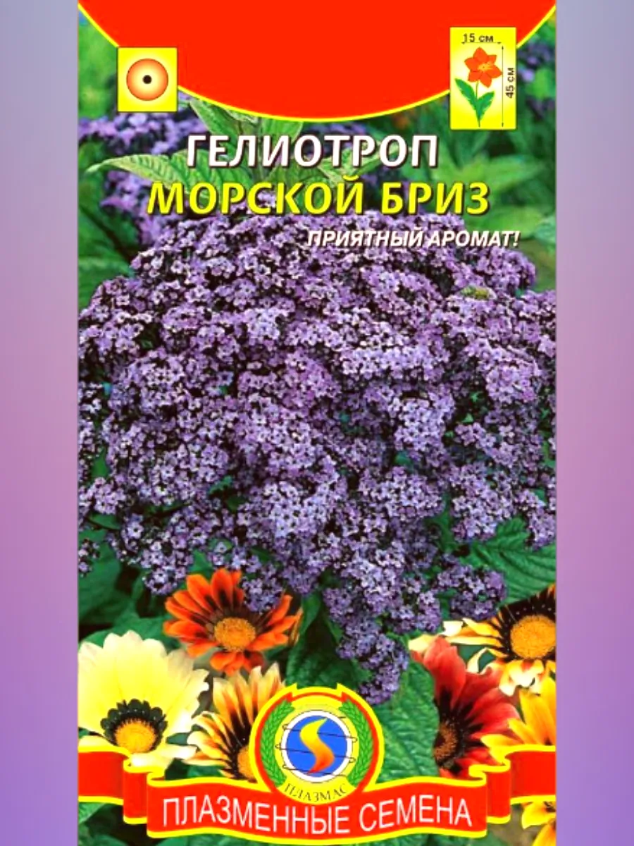 Семена Гелиотроп Морской бриз и Одиссей Агроника 200521936 купить в  интернет-магазине Wildberries