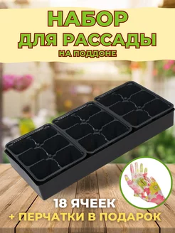 Ящик черный для рассады Профи 18 с ячейками Protex 200564471 купить за 369 ₽ в интернет-магазине Wildberries
