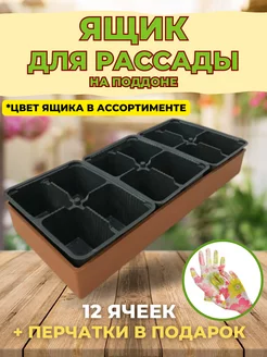 Ящик цветной для рассады Профи 12 с ячейками Protex 200564475 купить за 372 ₽ в интернет-магазине Wildberries