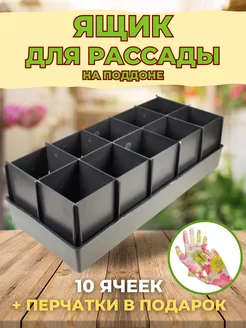 Ящик для рассады Профи 10 с перегородками Protex 200564476 купить за 573 ₽ в интернет-магазине Wildberries