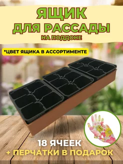 Ящик цветной для рассады Профи 18 с ячейками Protex 200564478 купить за 355 ₽ в интернет-магазине Wildberries