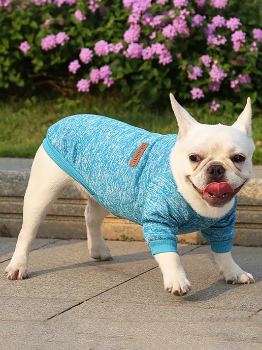 T-Pets Одежда для животных. Кофта толстовка для собак и кошек, голубой, фото 5