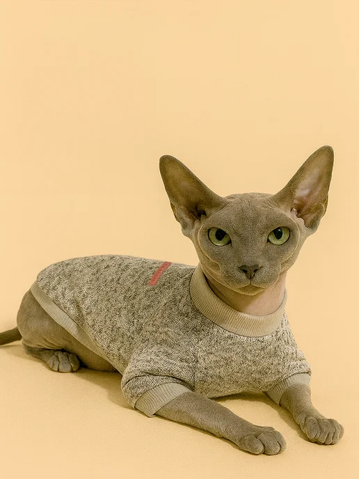 T-Pets Одежда для животных. Кофта толстовка для собак и кошек, серый, фото 3