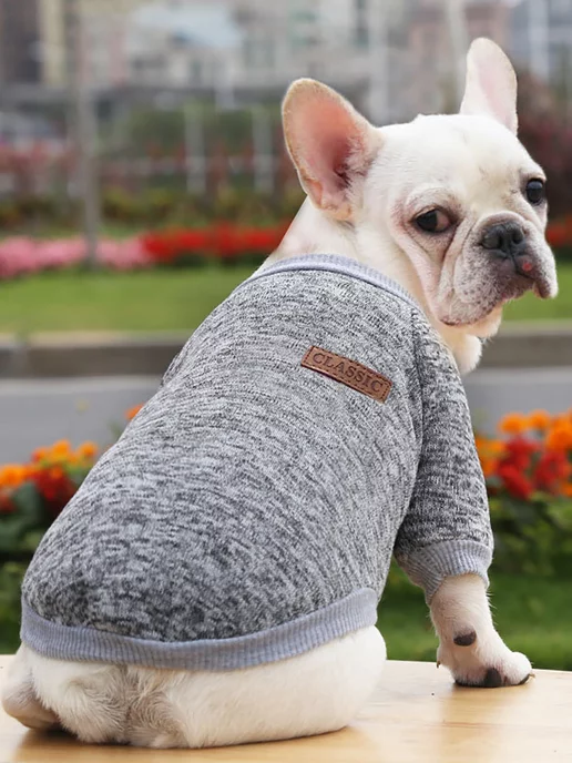 T-Pets Одежда для животных. Кофта толстовка для собак и кошек, серый, фото 6
