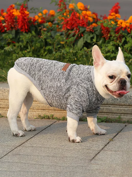 T-Pets Одежда для животных. Кофта толстовка для собак и кошек, серый, фото 7