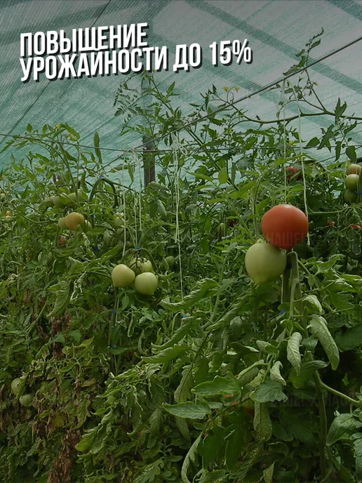 НАШЕ! Затеняющая сетка для теплиц и заборов 2х25м 80%, 2x25 м, фото 5