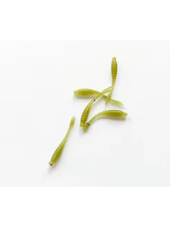 TWorm 25 мм, цвет Ватермелон Watermelon, уп. 20 шт Pike Hunter 200607679 купить за 212 ₽ в интернет-магазине Wildberries